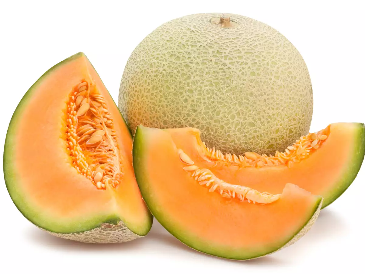 Muskmelon A