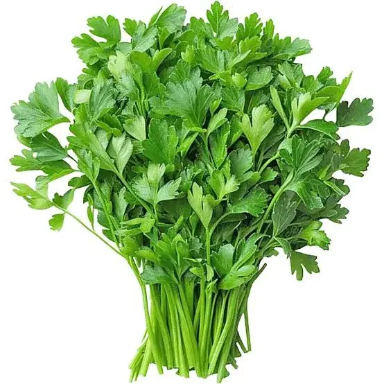 Coriander (Pcs)/Malli A