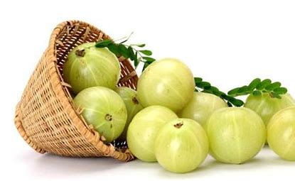 Nellikai/Indian Gooseberry A