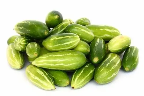 Thondekai/Scarlet gourd (Kgs) A