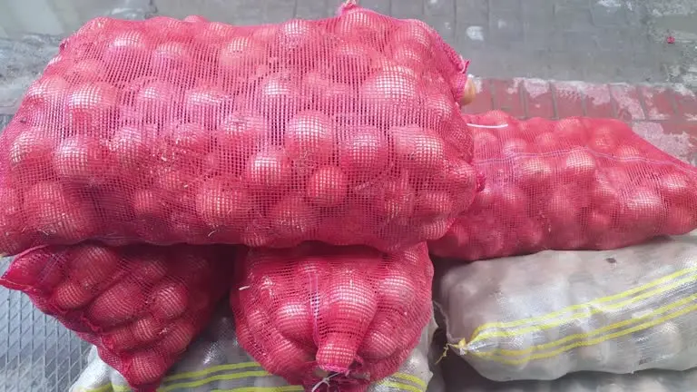 Big Onion (50kg)