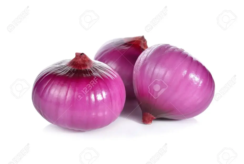 Peeled Big Onion (Kgs) A