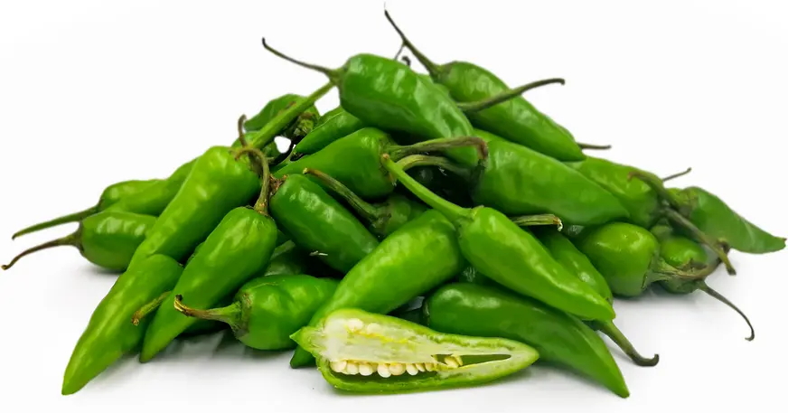 Bullet Chilli (Kgs) A
