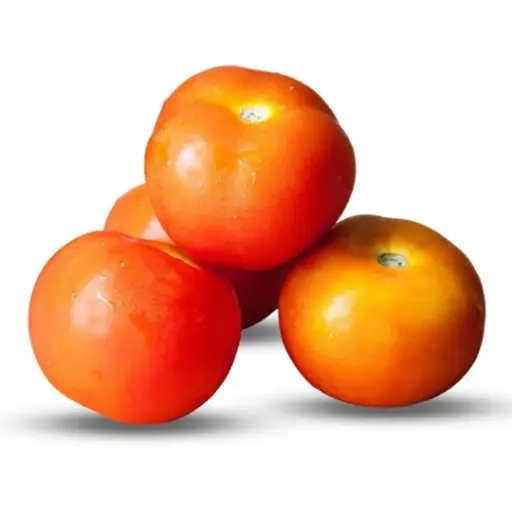 Natti Tomato B