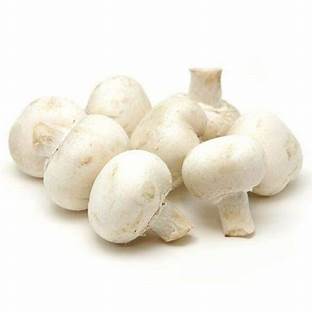 Mushroom (Pac) A 