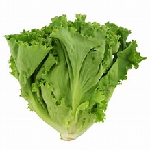 Lettuce Leaf A
