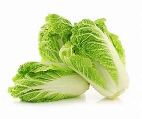 Chinese Cabbage A