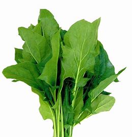 Spinach (Palak / Pasalai Keerai) (Pcs) - Premium
