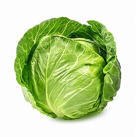 Cabbage (Kg) A