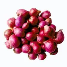 Small Onion A (Premium)