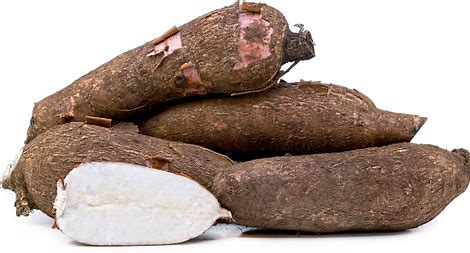 Tapioca/Maravalikilangu A