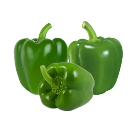 Capsicum A