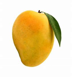 Alphonso Mango A