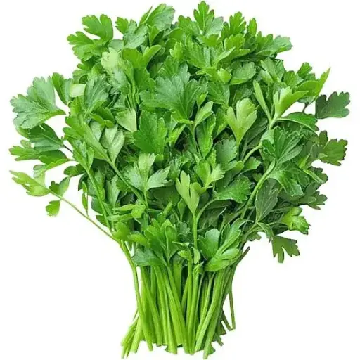 Coriander (Pcs)/Malli A