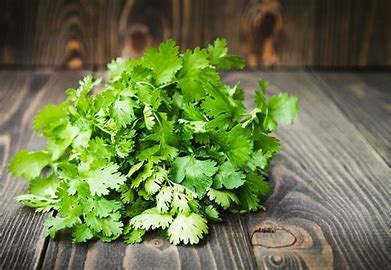 Coriander (pcs)/Malli A