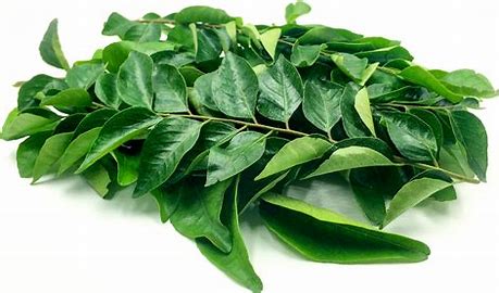Curry Leaves/Karuvepilai (kg) A