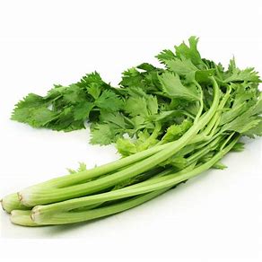 Celery (Kgs) A