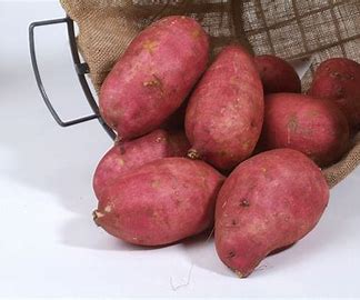 Sweet Potato (Kgs) A