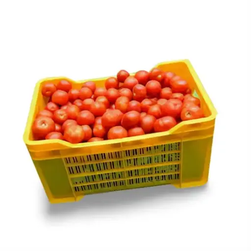 Tomato (Box) A